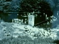 1073_Dahlerau_Armin_Maurer