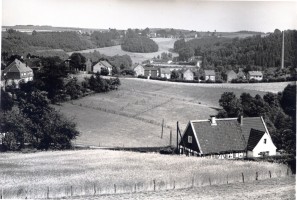 18_Niederdahl