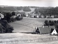 0460_Niederdahl